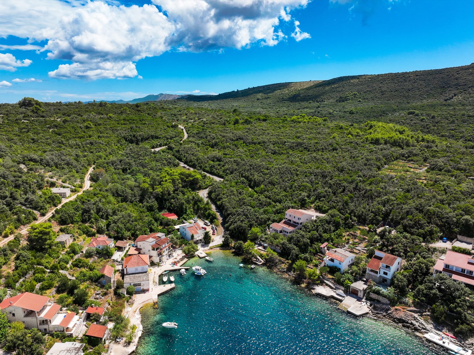 Coastline winding past neighboring houses