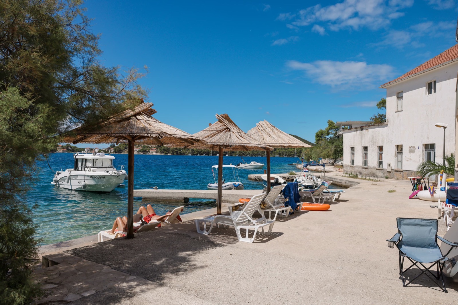 Sun loungers along the shoreline under palm trees